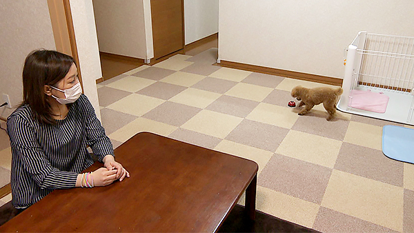 そら きょうのわんこ 写真2