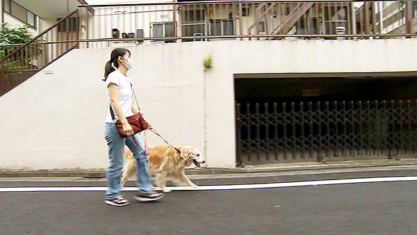 ショコラ きょうのわんこ 写真2
