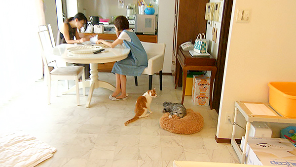 げん きょうのわんこ 写真5