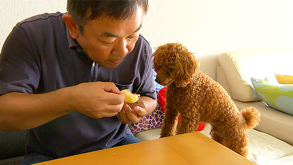 勇 きょうのわんこ 写真3