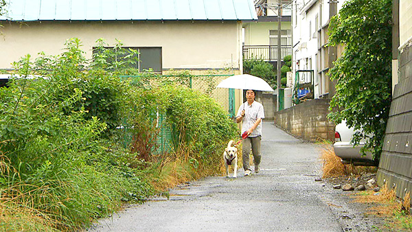 さりい きょうのわんこ 写真3