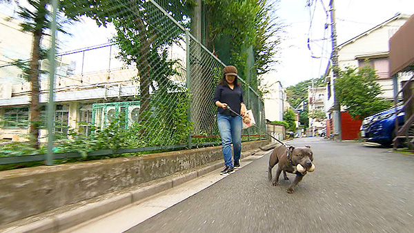 ボーイ・ジョージ きょうのわんこ 写真3