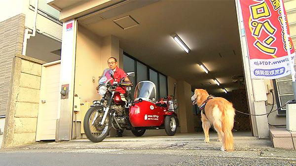 モモ きょうのわんこ 写真2