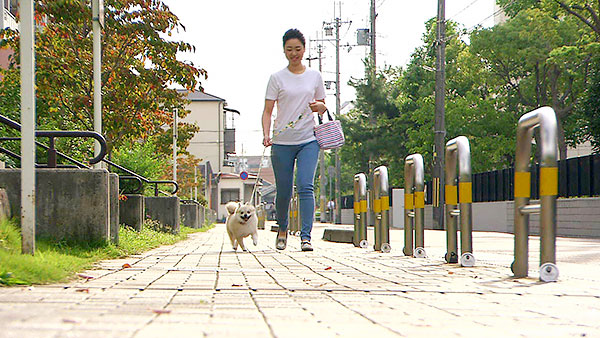 るる きょうのわんこ 写真2