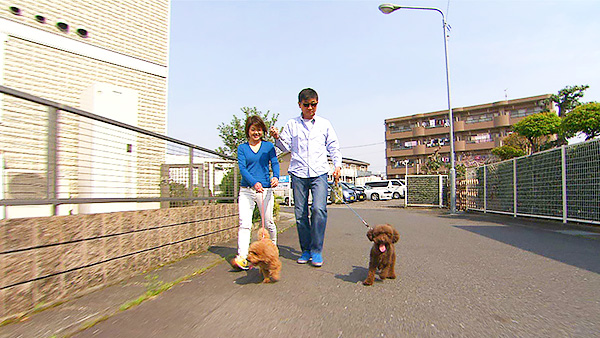 チョコ＆ココ きょうのわんこ 写真2