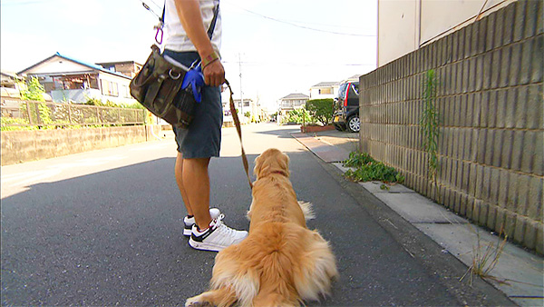 モコ きょうのわんこ 写真2