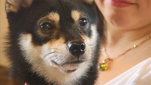 オリバー きょうのわんこ 写真1