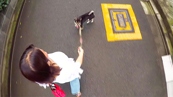 オリバー きょうのわんこ 写真2