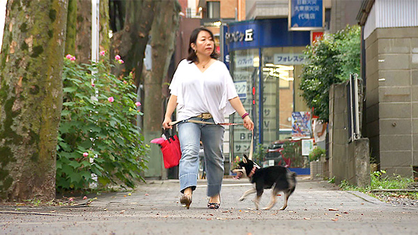 オリバー きょうのわんこ 写真4