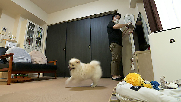 わび きょうのわんこ 写真2