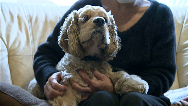 6364 ばん - めざましテレビ｜きょうのわんこ - フジテレビ