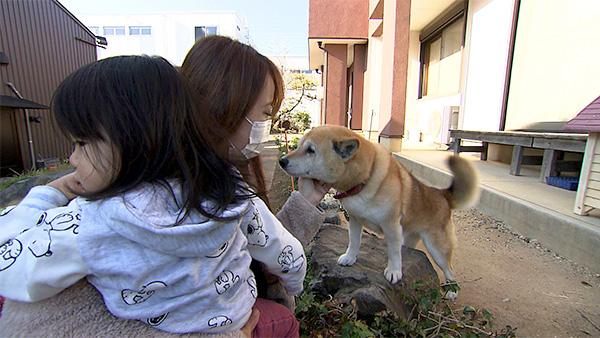 さくら きょうのわんこ 写真4