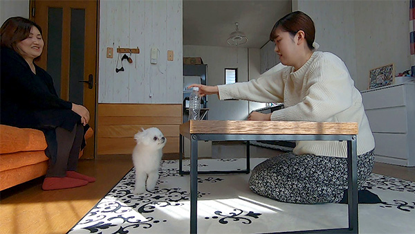 ぽぽ きょうのわんこ 写真2