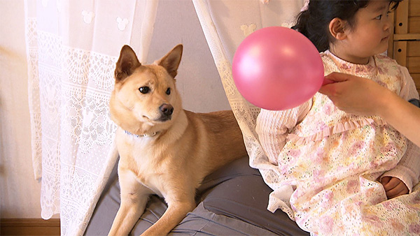 そら きょうのわんこ 写真3