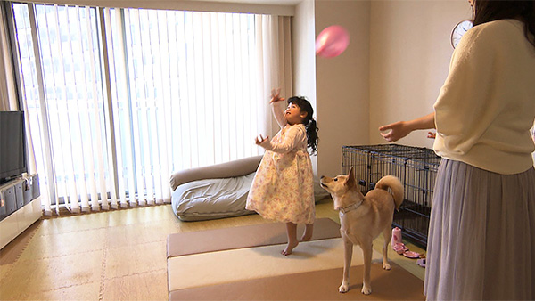 そら きょうのわんこ 写真4