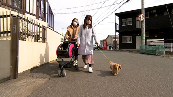 あめ子 きょうのわんこ 写真2