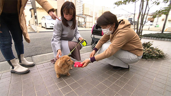 あめ子 きょうのわんこ 写真3