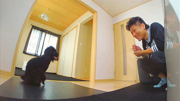 めい きょうのわんこ 写真4