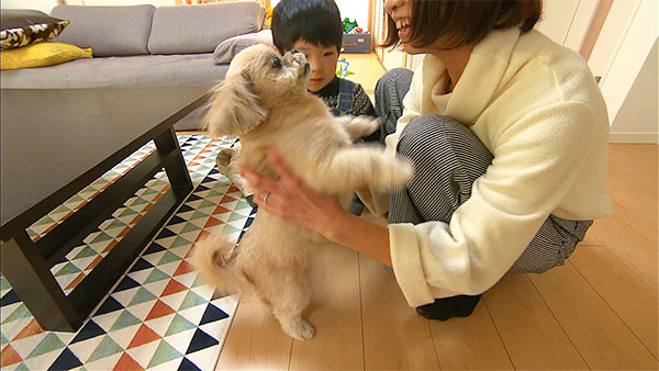 ドロン きょうのわんこ 写真2