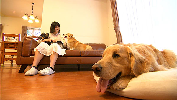 ルンルン きょうのわんこ 写真2