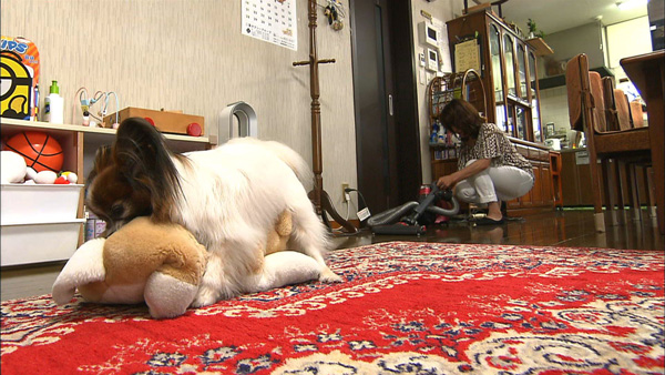 さくたろう きょうのわんこ 写真2