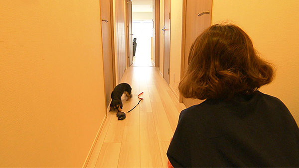 ルル きょうのわんこ 写真5