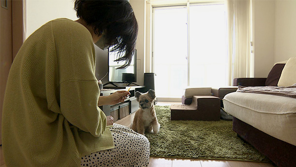 マルコ きょうのわんこ 写真2