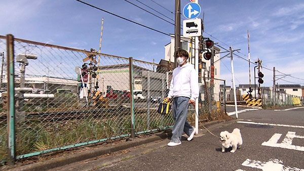 モモ きょうのわんこ 写真3