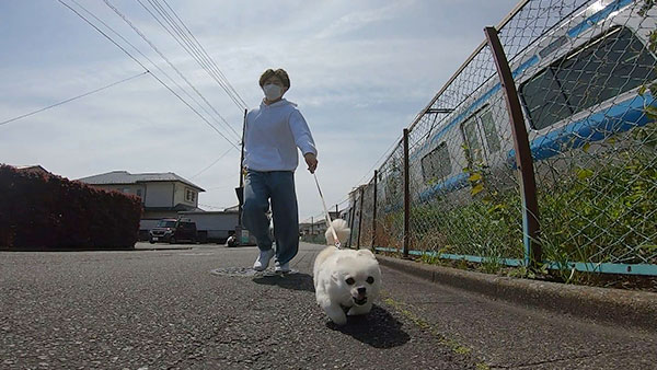 モモ きょうのわんこ 写真4