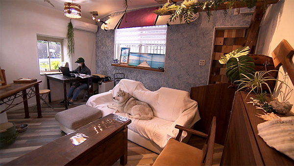 かぼす きょうのわんこ 写真2