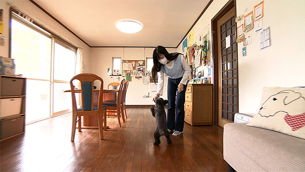 くんくん きょうのわんこ 写真2