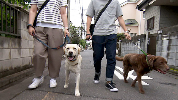 ALBA＆ブルーノ きょうのわんこ 写真2