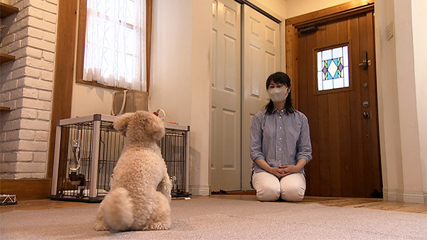 豆吉 きょうのわんこ 写真3