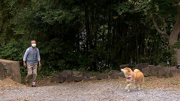 すず きょうのわんこ 写真2