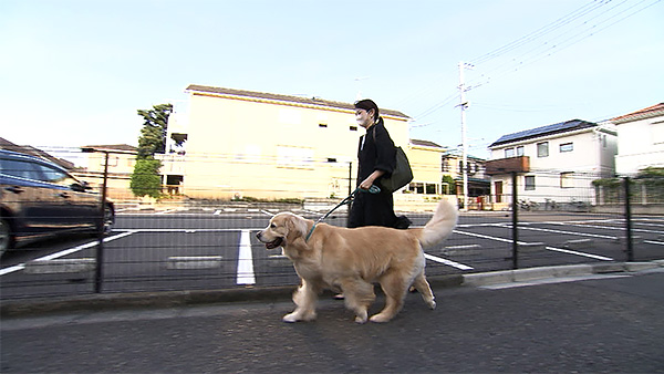 エマ きょうのわんこ 写真2