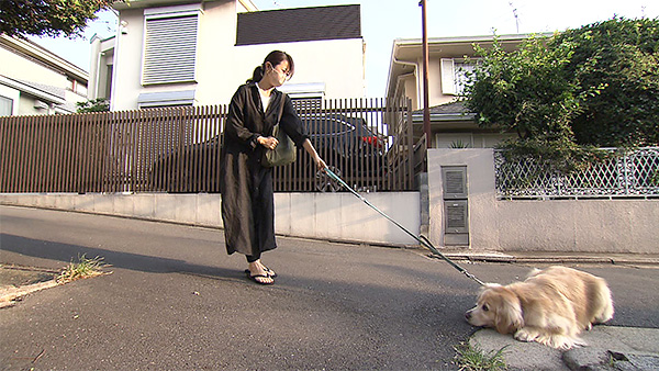 エマ きょうのわんこ 写真3