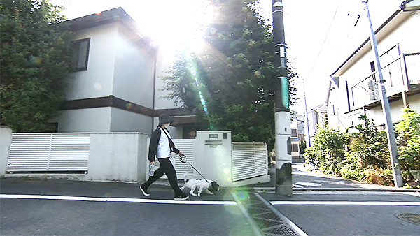 小糸 きょうのわんこ 写真2