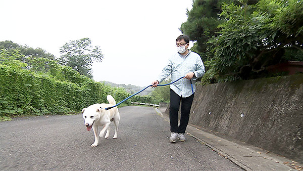 シロ きょうのわんこ 写真4
