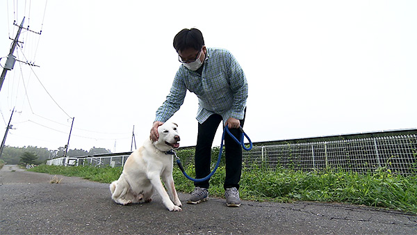 シロ きょうのわんこ 写真5