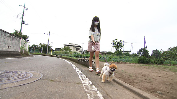 茶々丸 きょうのわんこ 写真2