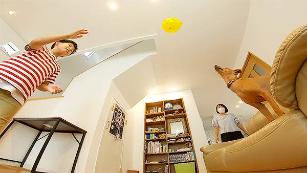 ロケット きょうのわんこ 写真4