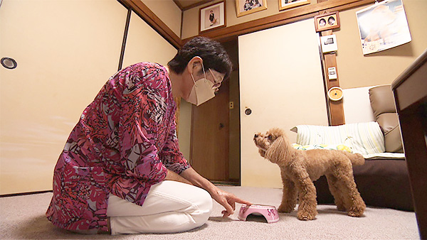 サリー きょうのわんこ 写真3