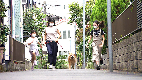 りん きょうのわんこ 写真2