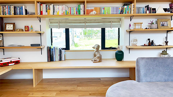 ミラ きょうのわんこ 写真3