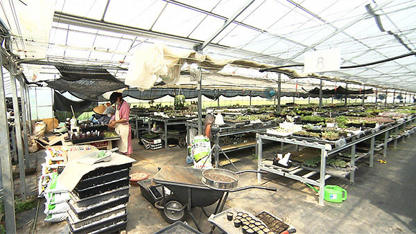 チコ きょうのわんこ 写真4