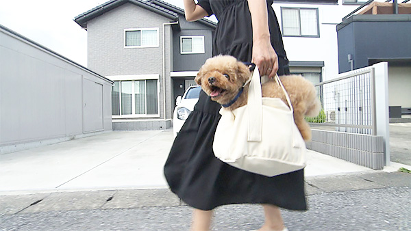 ラン きょうのわんこ 写真3