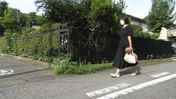 ラン きょうのわんこ 写真4