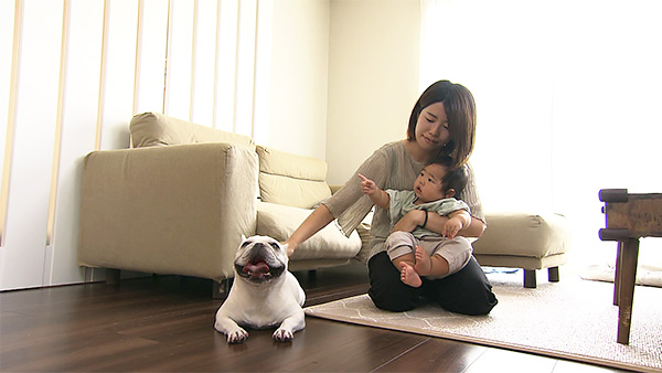 コツメ きょうのわんこ 写真2