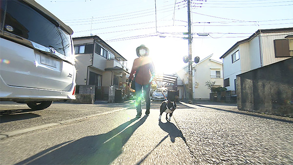 イギー きょうのわんこ 写真2