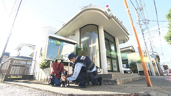 イギー きょうのわんこ 写真3